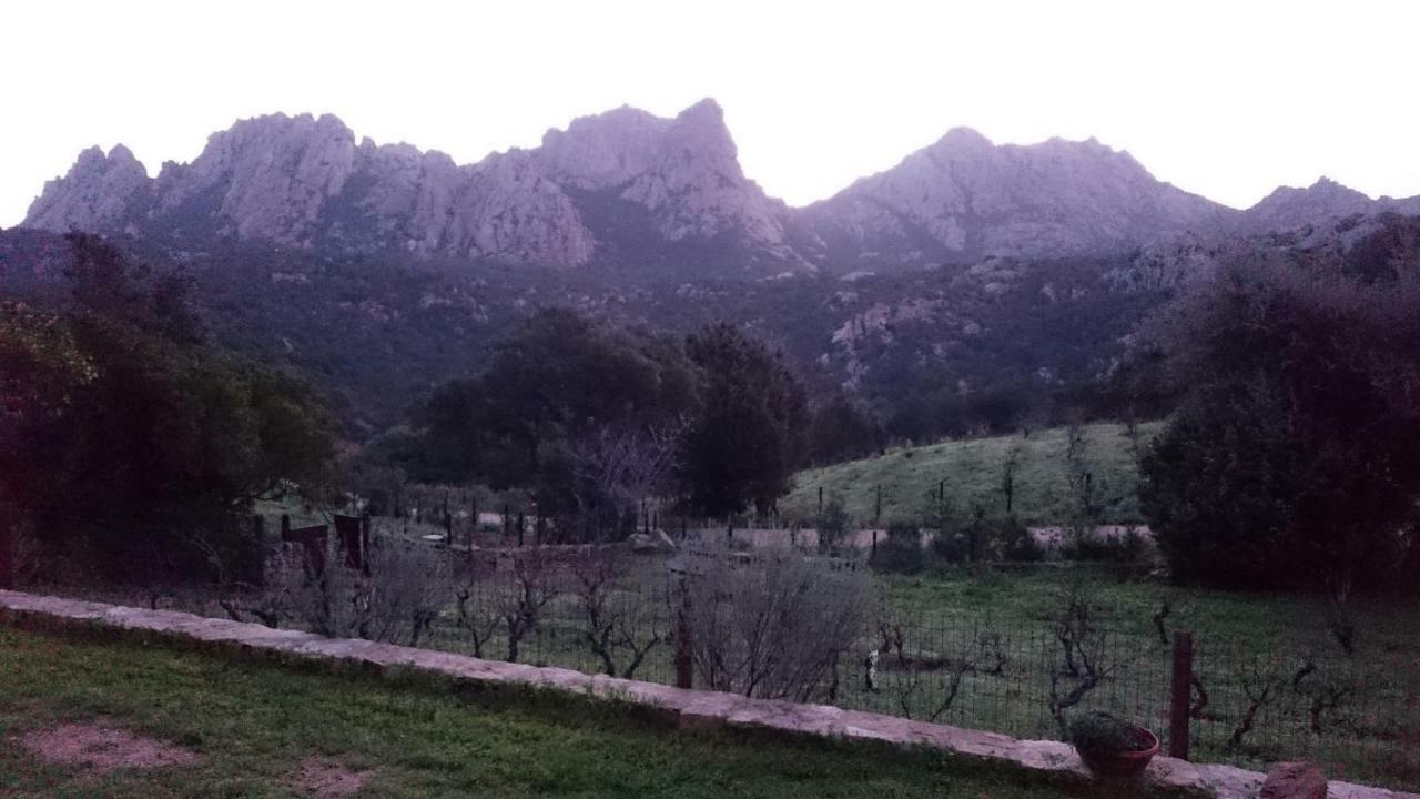 Villa La Suara Tolta 2 San Pantaleo Esterno foto