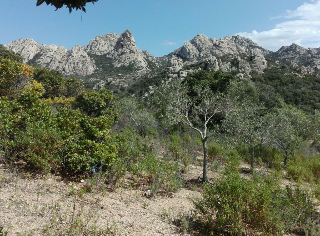 Villa La Suara Tolta 2 San Pantaleo Esterno foto