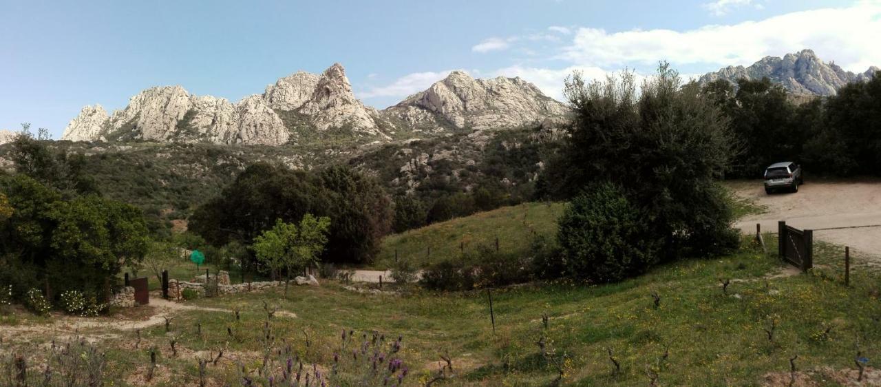 Villa La Suara Tolta 2 San Pantaleo Esterno foto